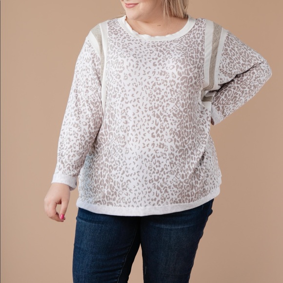 Racing Stripes Animal Print Top in Taupe - Picture 9 of 15